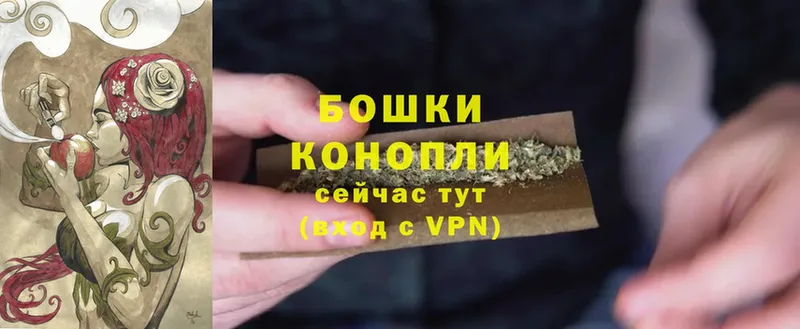 МАРИХУАНА Ganja  Северская 